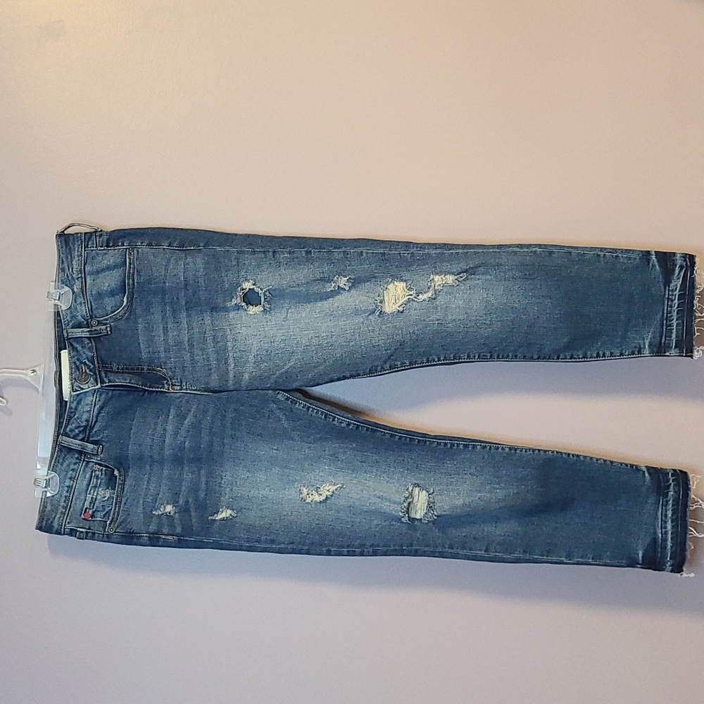 Slink Jeans Curvy Distressed Crop